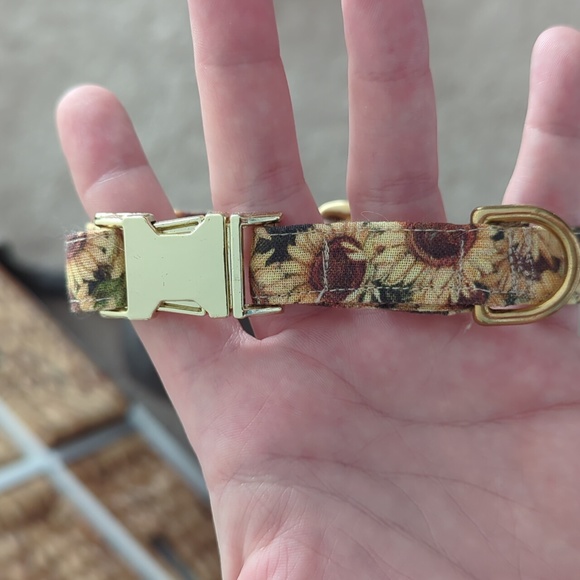 2/$30 Deal! Brand new collar - Picture 3 of 3